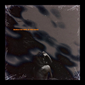 Search for Hope, In this Chaos