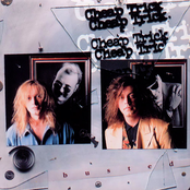 You Drive, I'll Steer by Cheap Trick