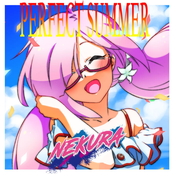 P E R F E C T  S U M M E R