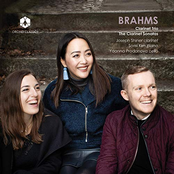 Brahms: Clarinet Trio - The Clarinet Sonatas