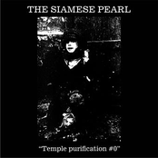 Temple Purification #0