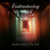 Endtroducing