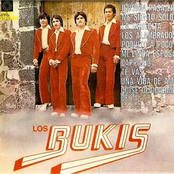 Poquito A Poco by Los Bukis