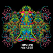 Voyager: First Plateau