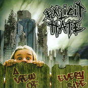 A View Of Every Side