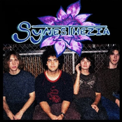 Synesthezia