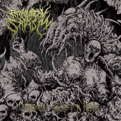 Cadaverously Enwormed in Putridity (Promo 2017)