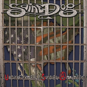 USA (Unconformable Social Amputees)