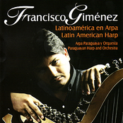 Latin American Harp