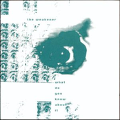 What Do You Know About It?