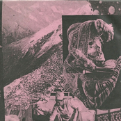 Fall for the Severed Hand