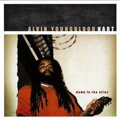 Alvin Youngblood Hart: Down in the Alley