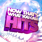 Now That's What You Call Dance Hits