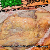 dread cunt / putrefaction pestilence