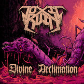 Divine Acclimation