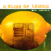 A Slice Of Lemon