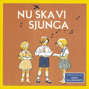 Nu Ska Visiunga I