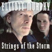 A Mountain Of Love by Elliott Murphy