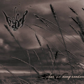 ...For So Many Reasons