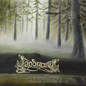 Vedergällning by Yggdrasil