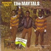 The Preacher by The Maytals