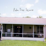 Palm Tree Square