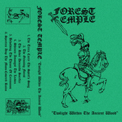 "Twilight Within the Ancient Wood"