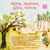 Lyckokarusellen by Röda Bönor