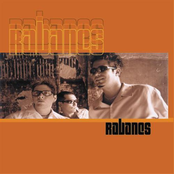 Tengo Un Mal Presentimiento by Los Rabanes