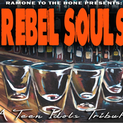 Rebel Souls A Teen Idols Tribute