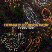 Eternal Buzz Brass Band - Evolution