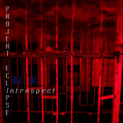 Projekt Eclipse: Introspect