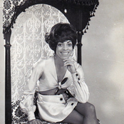 shirley nanette