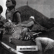 The Magnets in Our Arms Force Our Hands to God