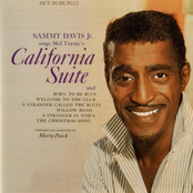 A Stranger In Town by Sammy Davis, Jr.