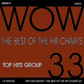 The Best of the Hit Charts, Vol. 33