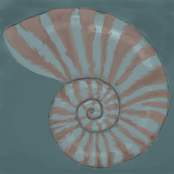Nautilus
