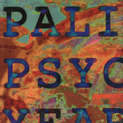 The Psychedelic Years