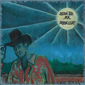 Mean Old Mr. Moonlight