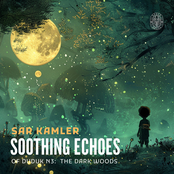 Soothing Echoes of Duduk N3: The Dark Woods