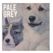 Shame by Pale Grey