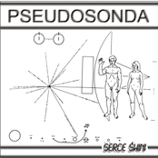 Pseudosonda - "serce swini"