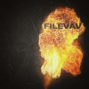 filevav