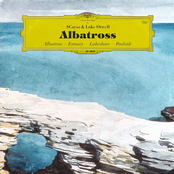 Albatross