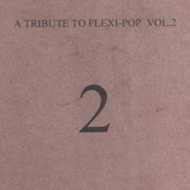 A Tribute To Flexi-Pop Vol. 2
