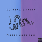Pledge Allegiance