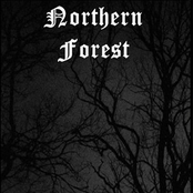 The Silent Night Of Winter South by Northern Forest