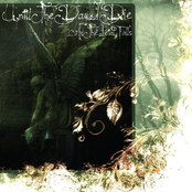 As The Petal Falls - Single