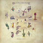 My Baby by Blancmange