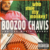 boozoo chavis & the magic sounds